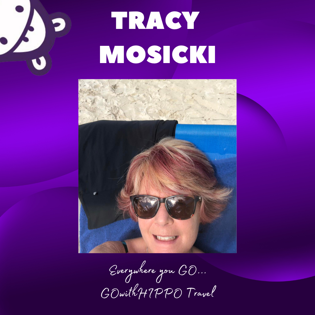 GOwithHIPPO Travel Agent, Tracy Mosicki, GOwithHIPPO Travel